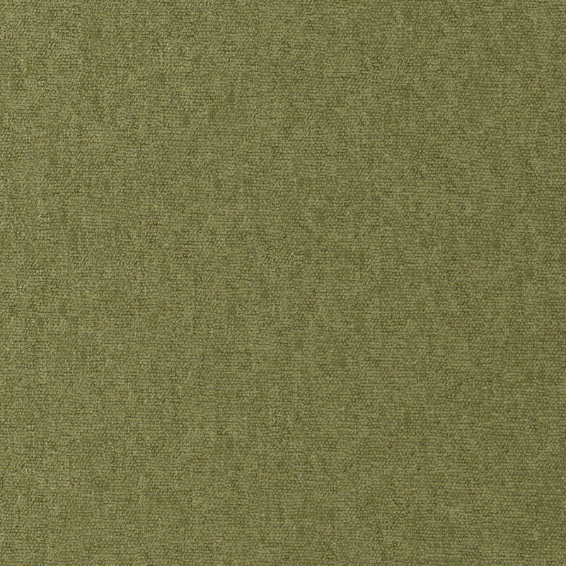 Conte-# 812 olive