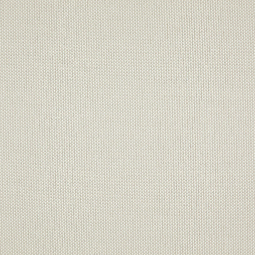 Light year-# 218 almond