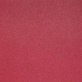 Esprit-# 054 raspberry