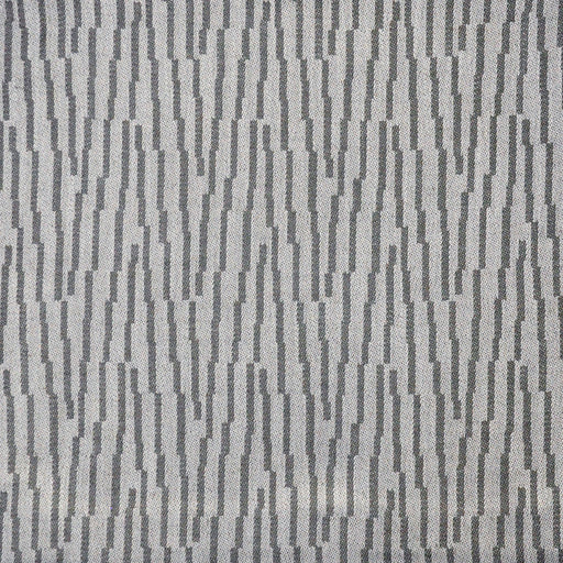 Stylus-# 111 african grey