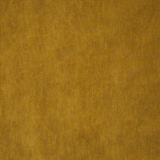 Belluno-# 108 gold