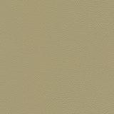 Downtown-nj - # 331 sand dollar- Maxwell Fabric By The Yard