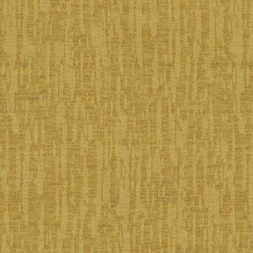 Alameda-# 237 gold