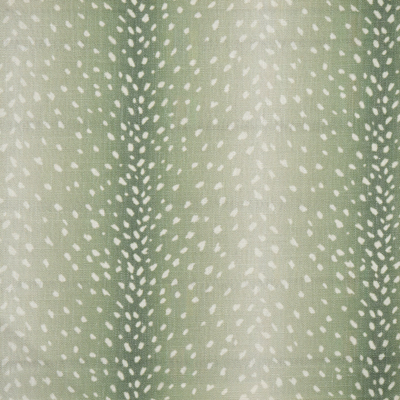 Chital-# 353 aloe