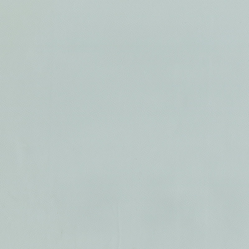 Jackson-# 634 mist