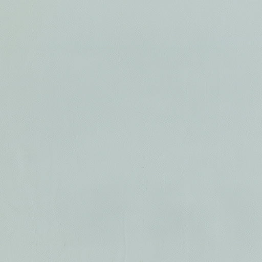 Jackson-# 634 mist
