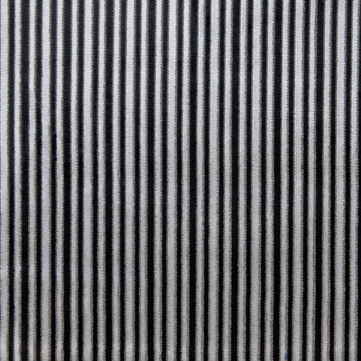 Lugano-# 617 zebra