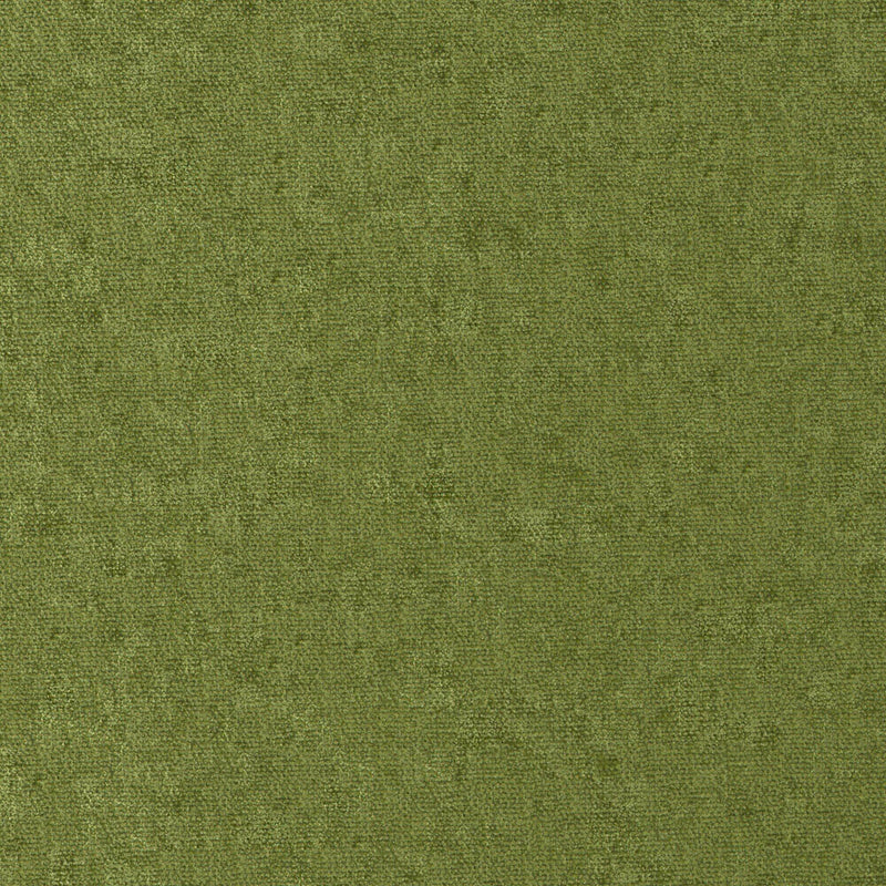 Conte-# 811 grass