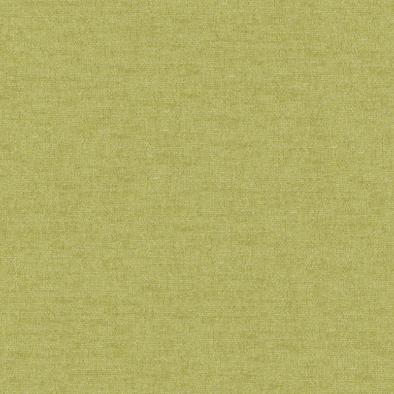 Pintura-# 809 thyme