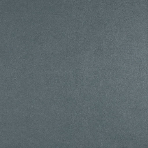 Icon-# 752 skylight