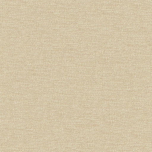 Impasto-# 950 biscuit