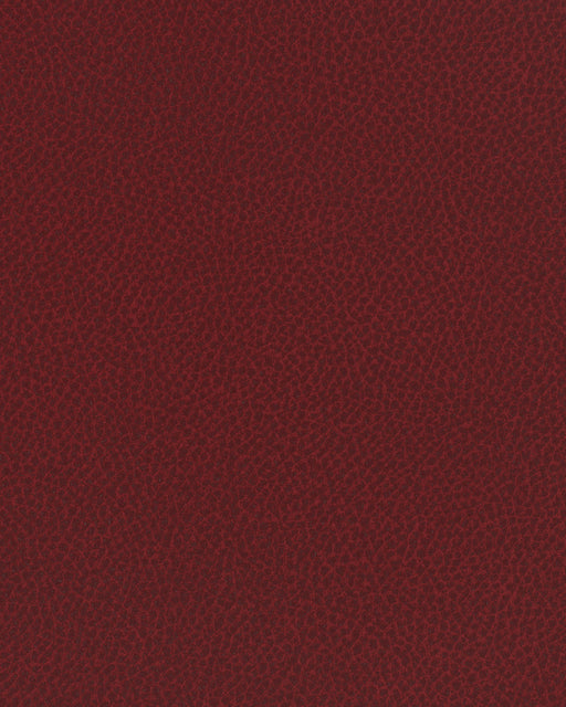 Scene-# 800 cherry