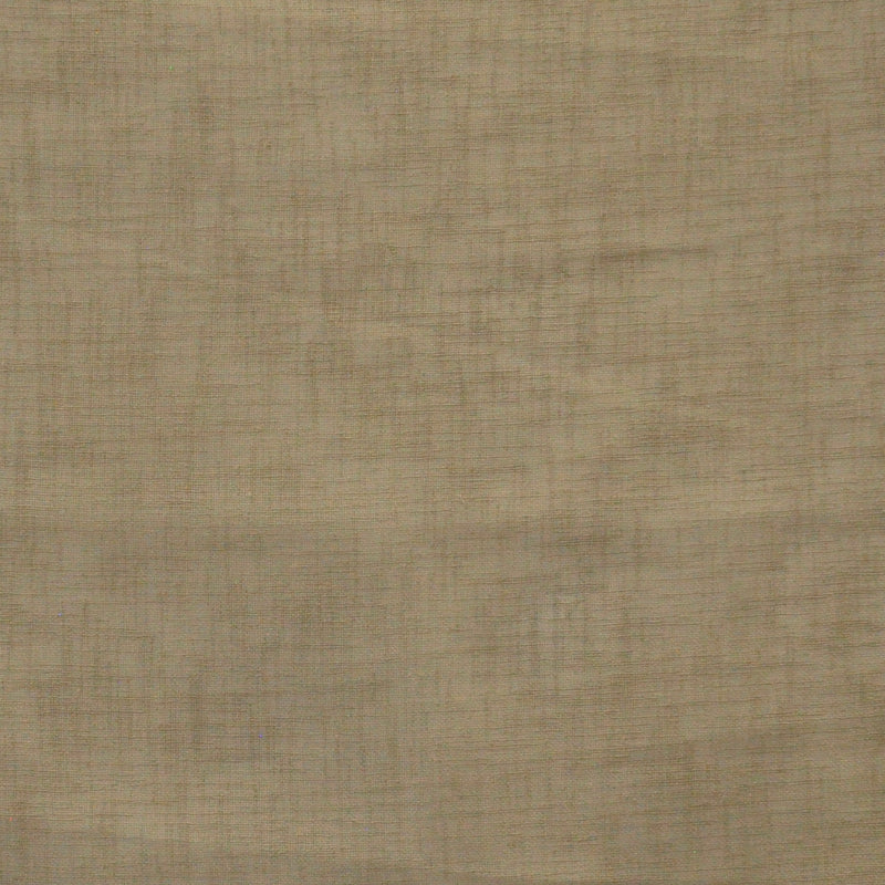 Iago-# 612 mink