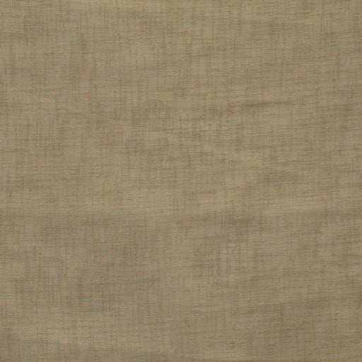 Iago-# 612 mink