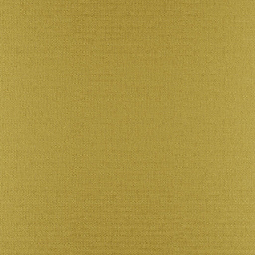 Phobos-# 316 buttercup