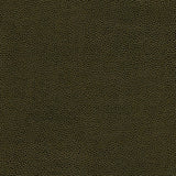 Rambutan-nj - # 771 frond- Maxwell Fabric By The Yard