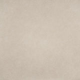 Spur - # 889 birch- Maxwell Fabric By The Yard