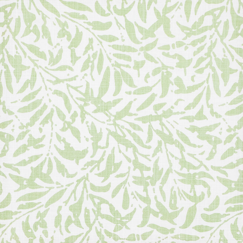 Ingleby-# 505 celery