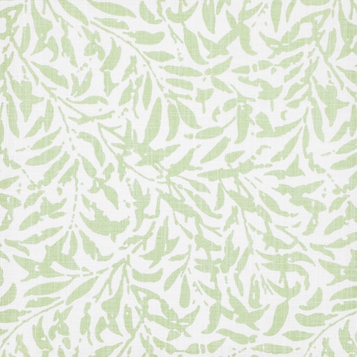 Ingleby-# 505 celery