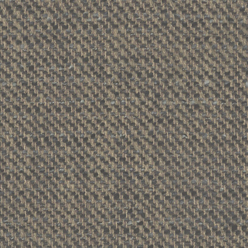 Ferran-# 358 mocha