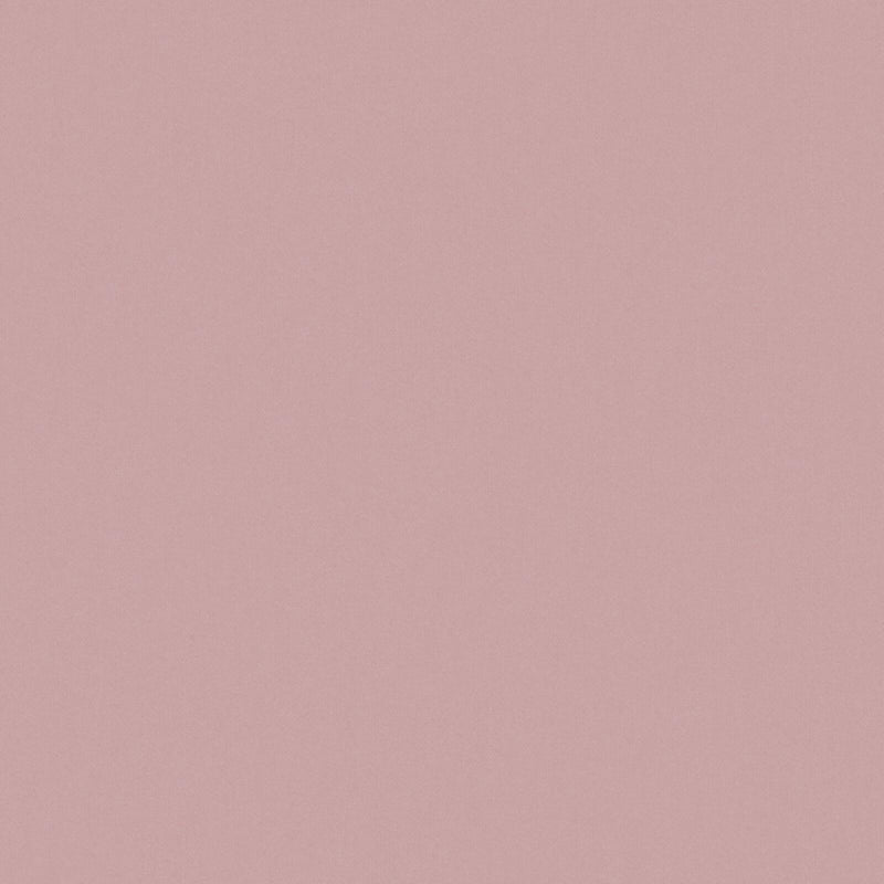 Zaitun-# 530 blossom