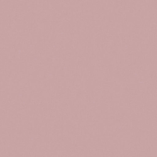 Zaitun-# 530 blossom