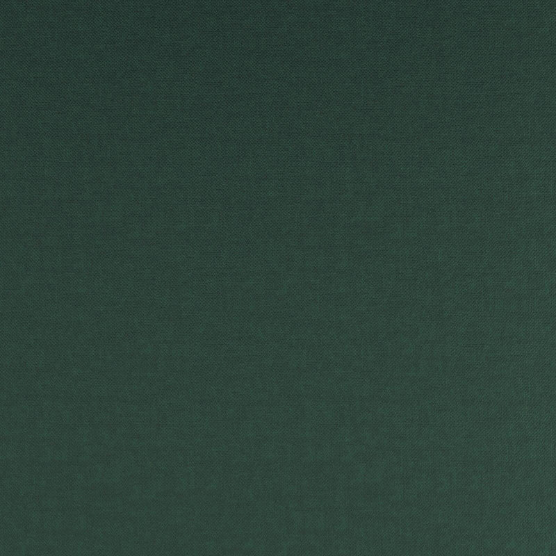 Fidelio-# 745 peacock