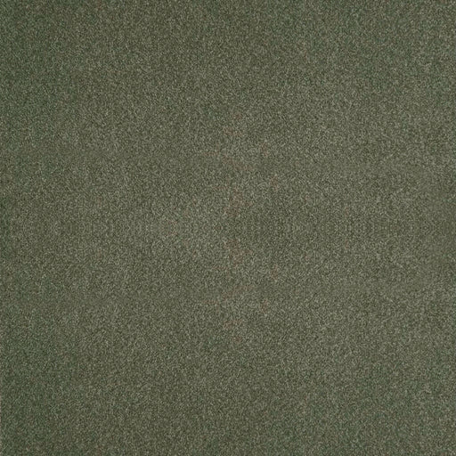 Biella-ess-# 208 olive