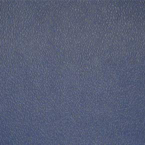 Esprit-# 009 blueberry