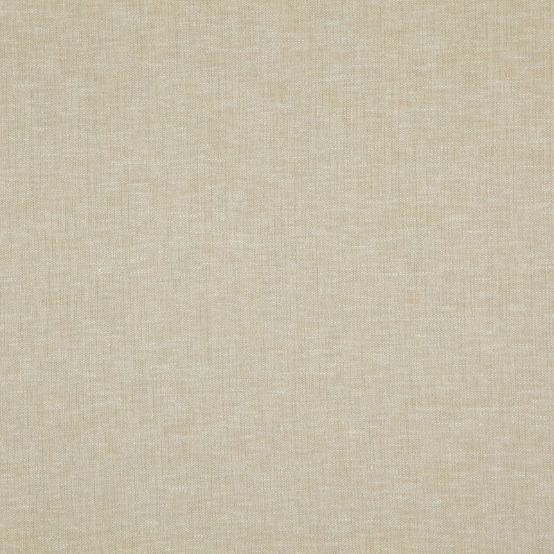 Cloud-# 05 seagrass