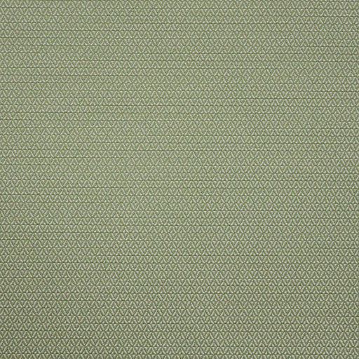 Putney-# 646 basil