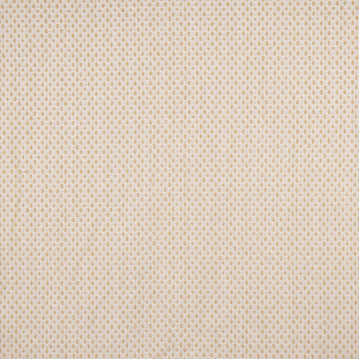 Carroll-# 823 sisal