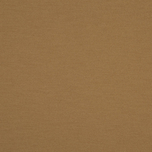 Hatha-# 06 camel