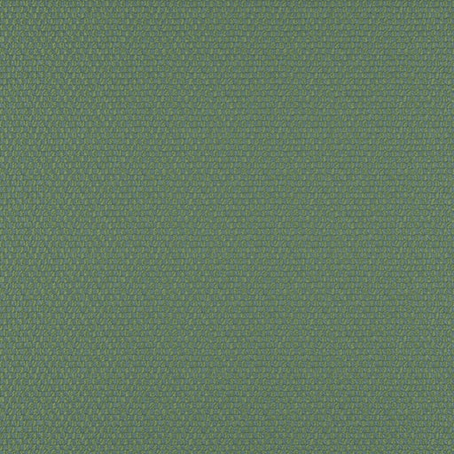 Take off-# 616 lily pad
