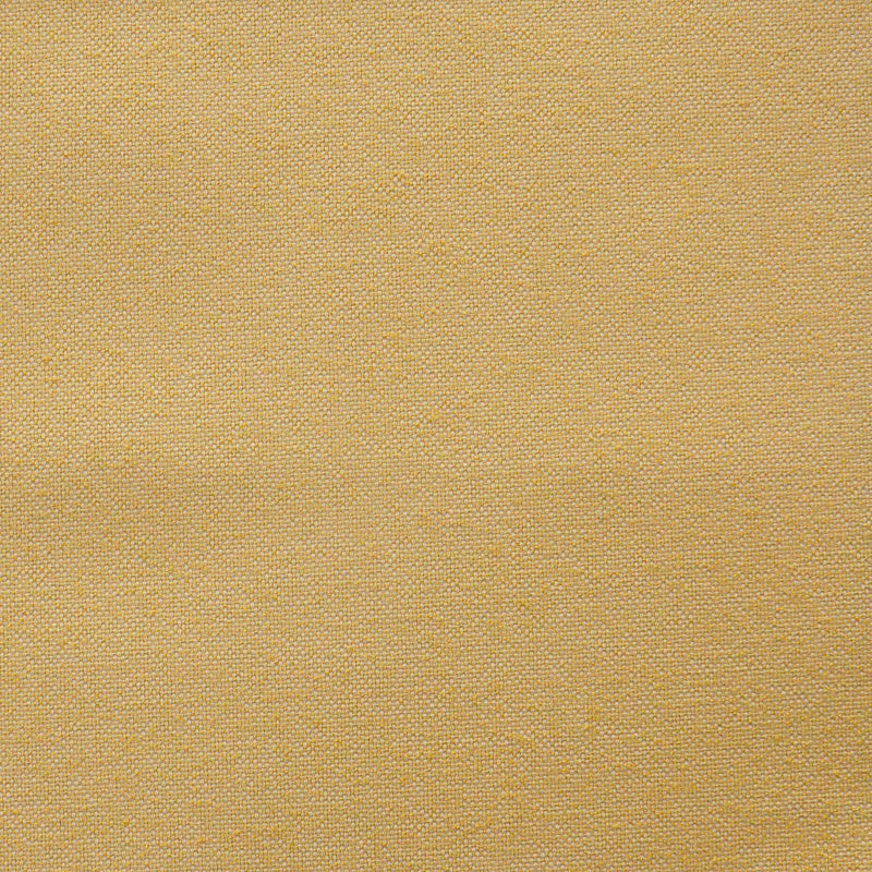 Hollis-# 826 canary