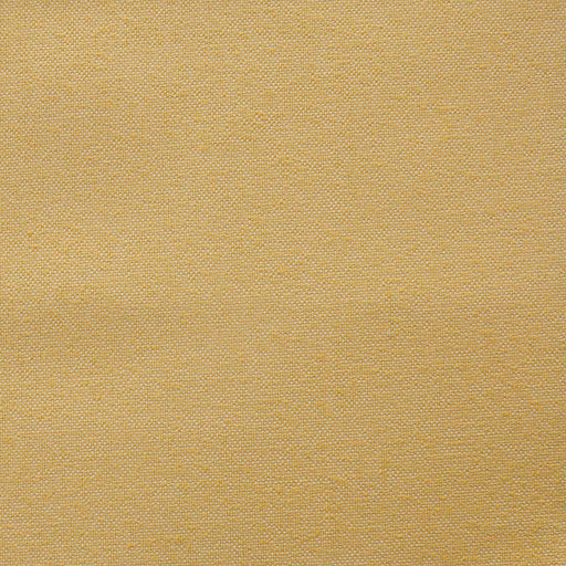 Hollis-# 826 canary