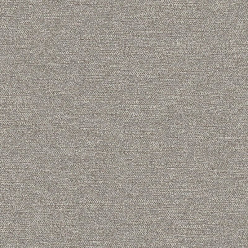 Impasto-# 906 shark