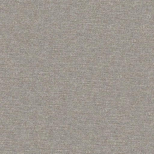 Impasto-# 906 shark