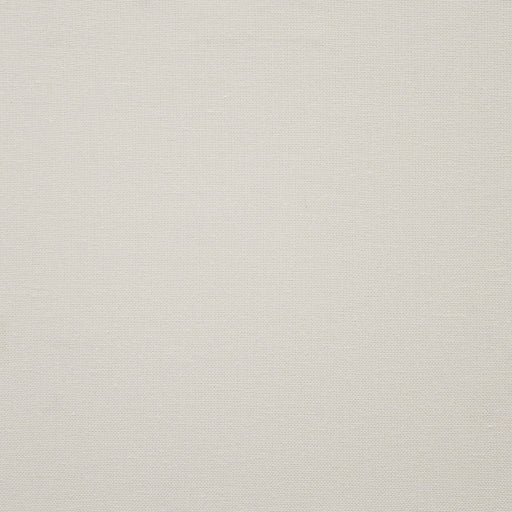 Panda-# 338 ivory