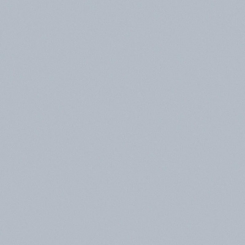 Zaitun-# 508 fog