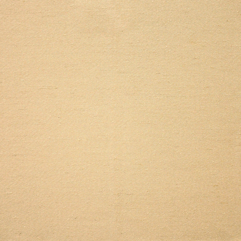 Elara-# 304 sparrow