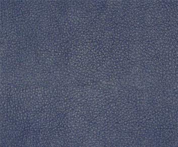 Persuasion-# 006 blueberry