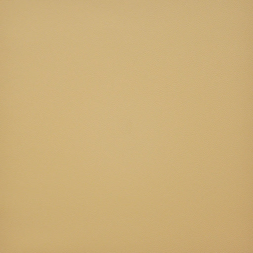 Vesper-# 238 cashew