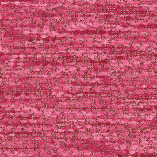 Ripley-# 251 ribbon