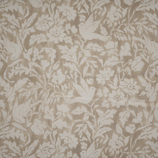 Turtledove-# 209 bisque