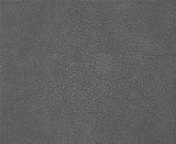 Persuasion - # 014 iron- Maxwell Fabric By The Yard