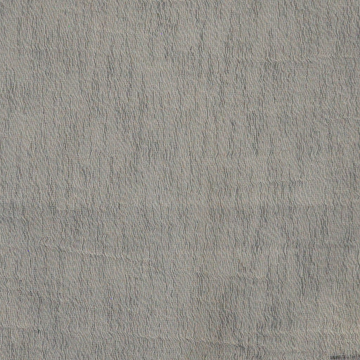 Roderigo-# 649 grey