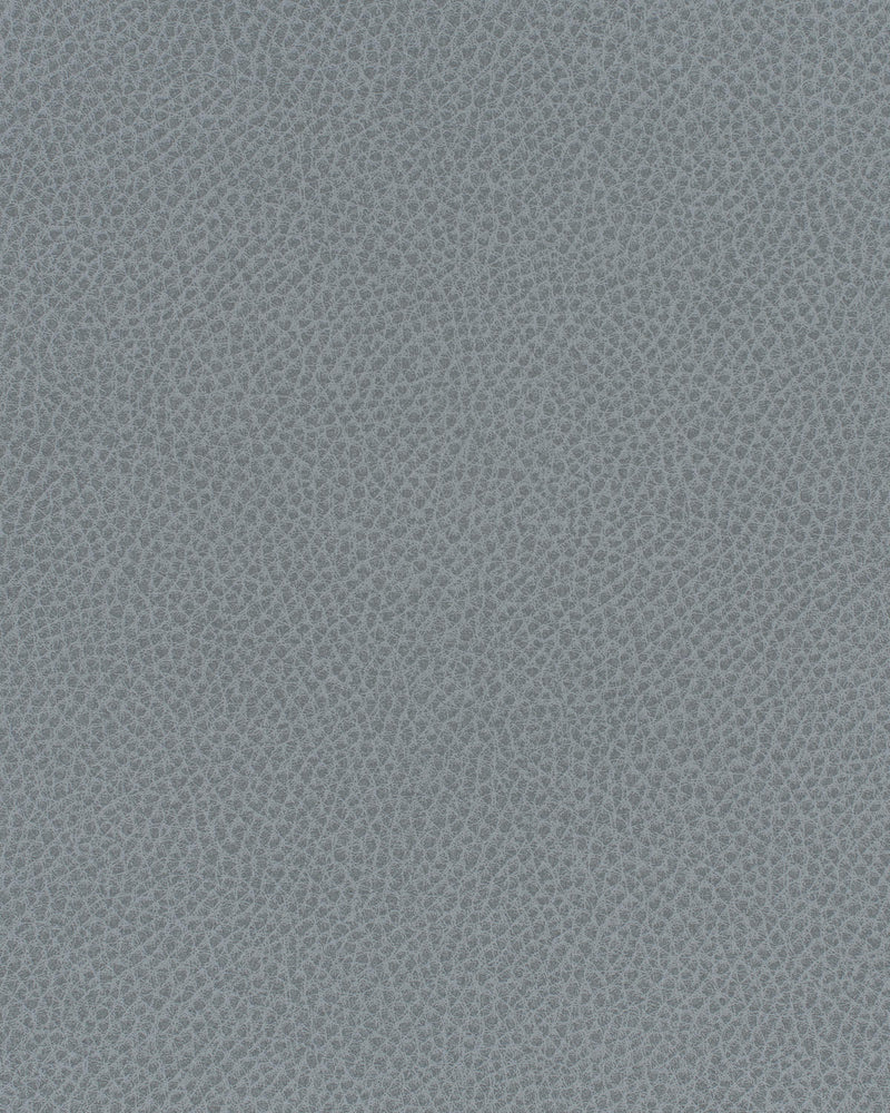 Scene-# 749 blue slate