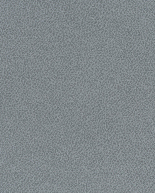 Scene-# 749 blue slate