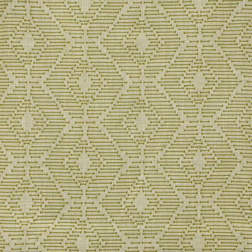 Orapa-# 316 olive